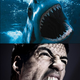 Illustration for article titled Soccer Players In More Danger From Suarez Than Sharks